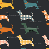 a group of dogs that are on a black background