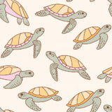a group of turtles on a white background
