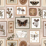 a picture of a bunch of different things on a wall