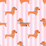 a picture of a dog on a striped background