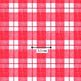 a red and white checkered pattern with a measurement line indicating its size.
