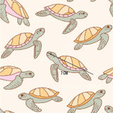 a picture of a group of turtles on a white background