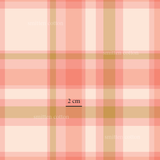 Strawberry Plaid (Pre Order 22- 30 Oct)