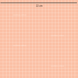 Primrose Grid Pink (Pre Order 22- 30 Oct)