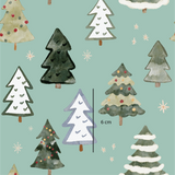 Christmas Tree Sage (Pre Order 22- 30 Oct)