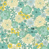 Maisie Aqua (Pre Order 22- 30 Oct)