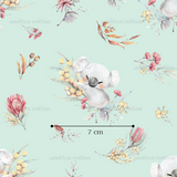 Koala Wattle- Mint Retail