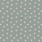 Sprinkle Sage (Pre Order 22- 30 Oct)