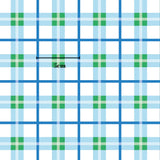 The image is a grid of blue and green squares, with a ruler placed in the center to indicate the size of the squares.