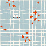 a grid-like pattern with orange stars scattered across it. There is a small white rectangle with the text "2 cm" inside it, indicating the size of the stars.