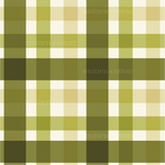 a green and white plaid pattern