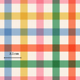 The image is a colorful, multicolored plaid pattern with a grid-like design. The image is described as a "2.5 cm" size, which indicates its dimensions.