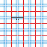 a grid of red and blue checkered squares, with a single 5 cm line drawn between them.