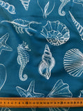 a variety of seashells and starfish on a blue background, with a ruler placed next to it for scale.