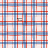 a repeating pattern of red and blue stripes, with a small text box indicating the size of the pattern in centimeters.