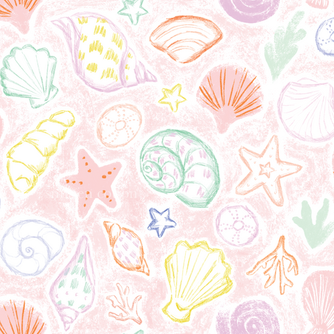a pastel drawing of seashells and starfish