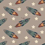 Rocketship (Pre Order 10- 18 Oct)