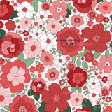 Calista Berry - 0.75M Cotton Woven Retail