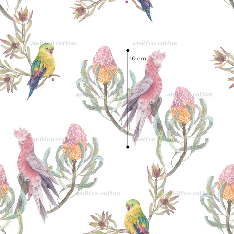 Galah White (Pre Order 15- 23 June)
