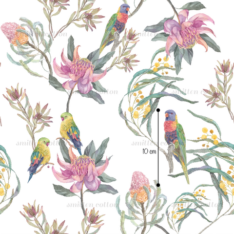 Rainbow Lorikeet- Cotton Woven Retail