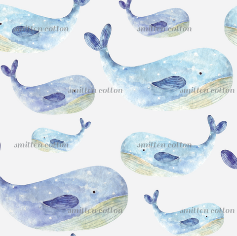 Blue Whales (Pre Order 10- 18 Oct)