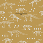 Fossils (Pre Order 18- 27July)