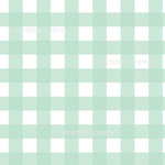 Mint Gingham (Pre Order 17- 25 February)