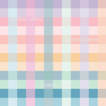 Ombre Gingham (Pre Order 10- 17 Dec)