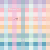 Ombre Gingham (Pre Order 12- 20 Feb)